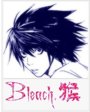◆Bleach◇猴◆